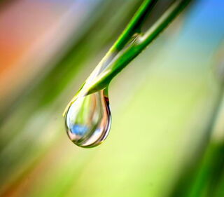 Green Deal EU